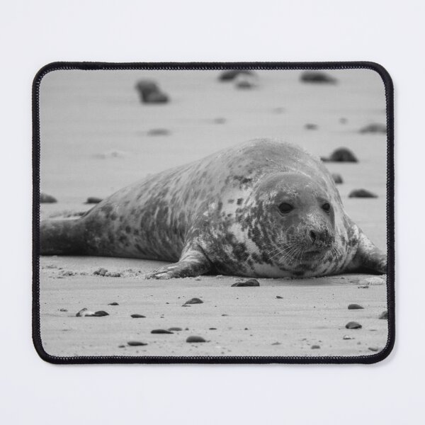 Item preview, Horsey Gap seal designed and sold by cdkphotos.