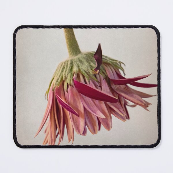 Item preview, Windswept designed and sold by Susan Watson.