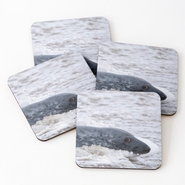 Item preview, Swimming grey seal designed and sold by cdkphotos.