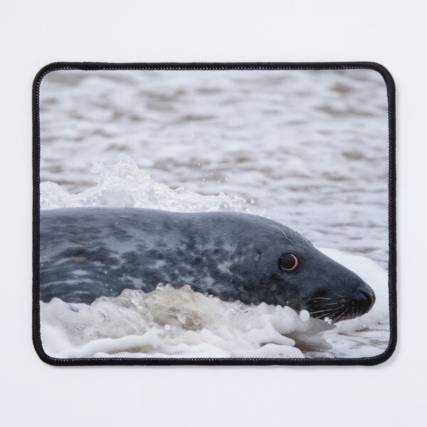 Item preview, Swimming grey seal designed and sold by cdkphotos.