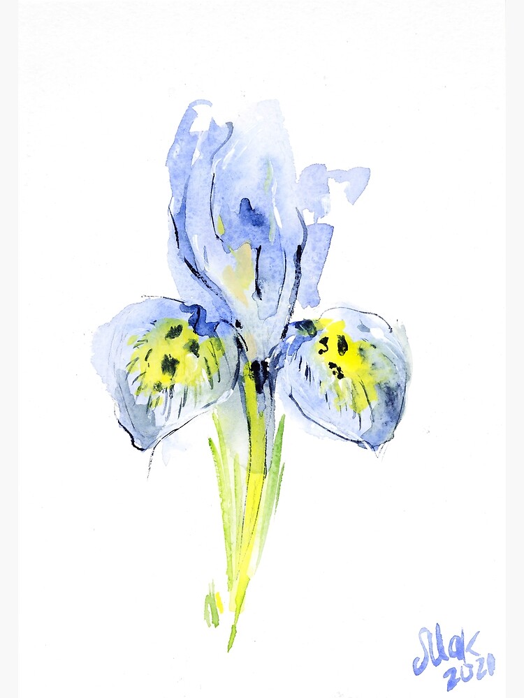 Poster Blue iris 