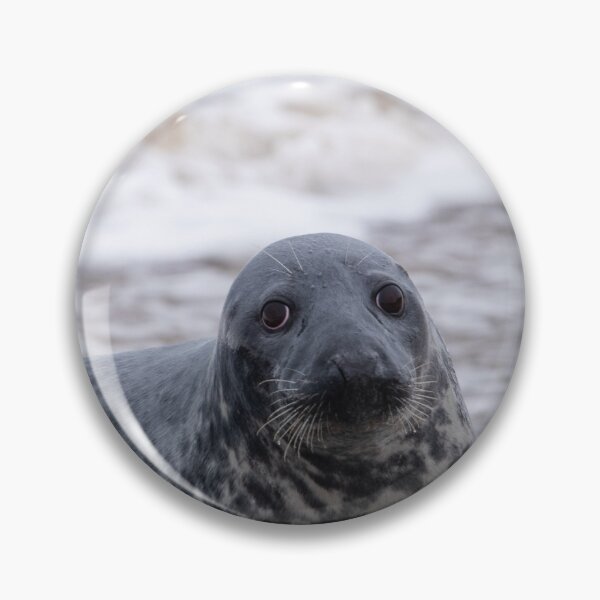 Item preview, Norfolk grey seal by the sea designed and sold by cdkphotos.