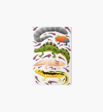 Amphibians Art Board