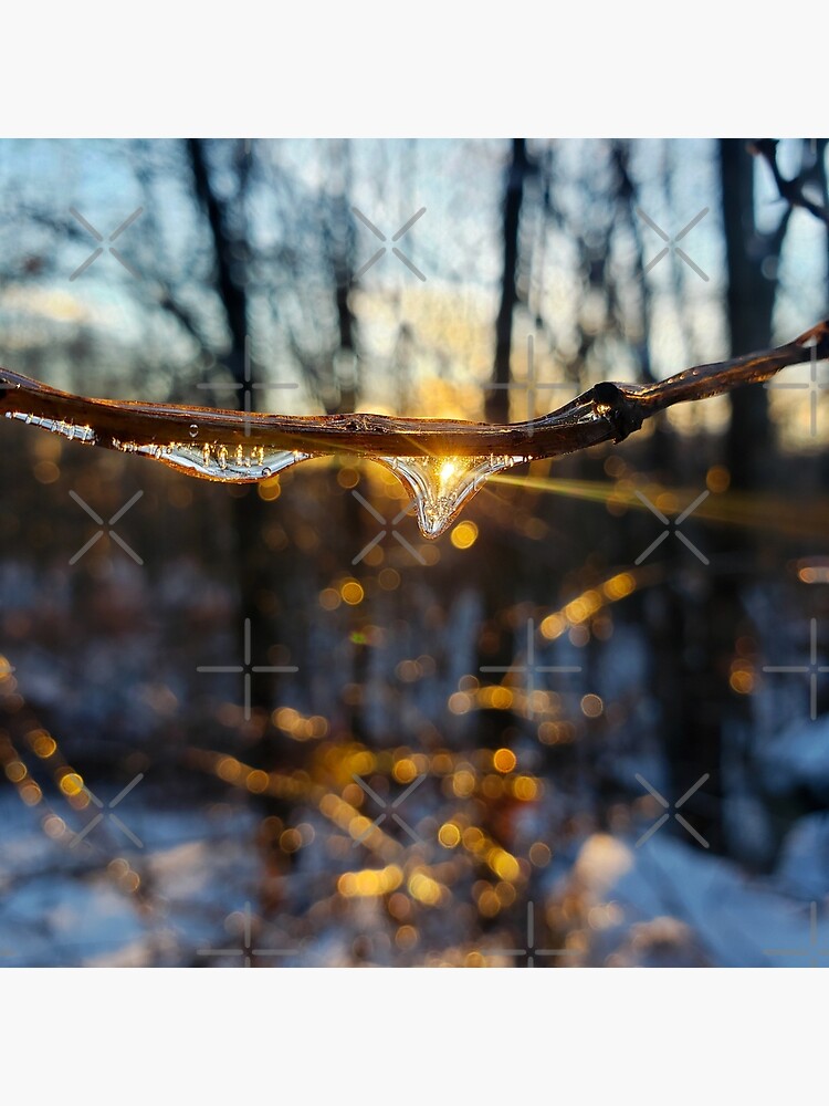 "Frozen Golden Hour" Poster for Sale by TikvahCreations Redbubble