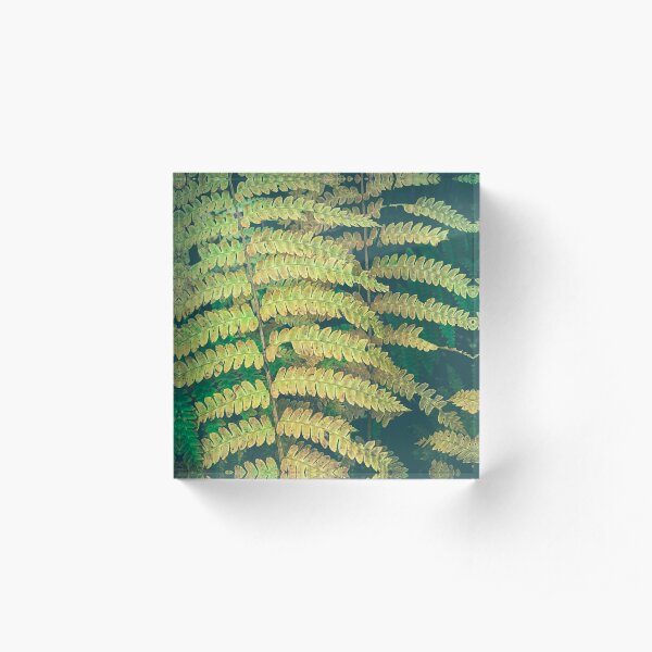 Woodland Fern Acrylic Block