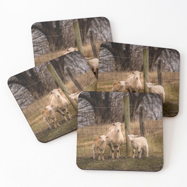 Item preview, Proud Momma designed and sold by Jim Love.