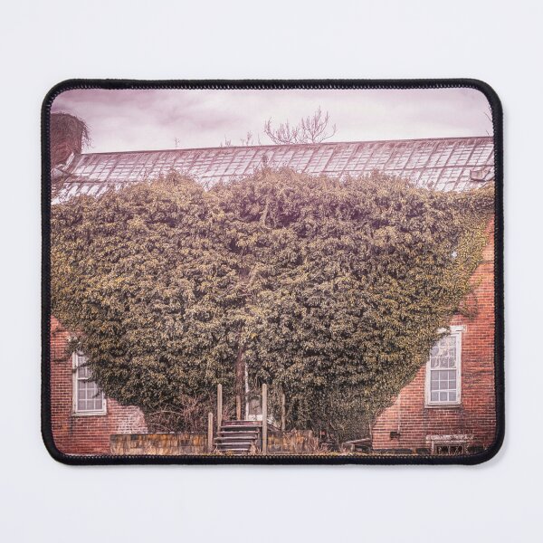 Item preview, Engulfed designed and sold by Jim Love.