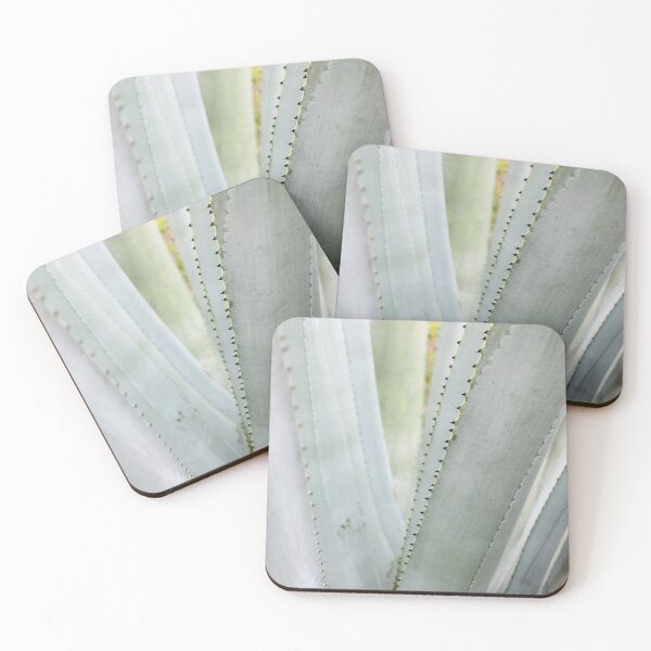 Item preview, Agave Tequilana Leaves. designed and sold by VgBingi.