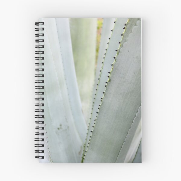 Item preview, Agave Tequilana Leaves. designed and sold by VgBingi.