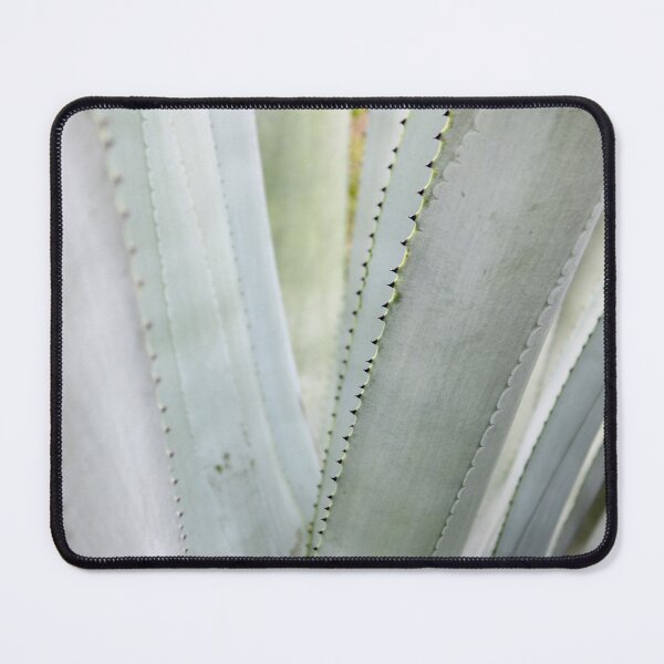 Item preview, Agave Tequilana Leaves. designed and sold by VgBingi.