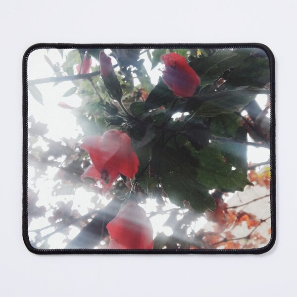 Artikelvorschau, Helligkeit Blume entworfen und verkauft von IKnowStore.