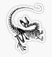 Velociraptor Skeleton Print Sticker