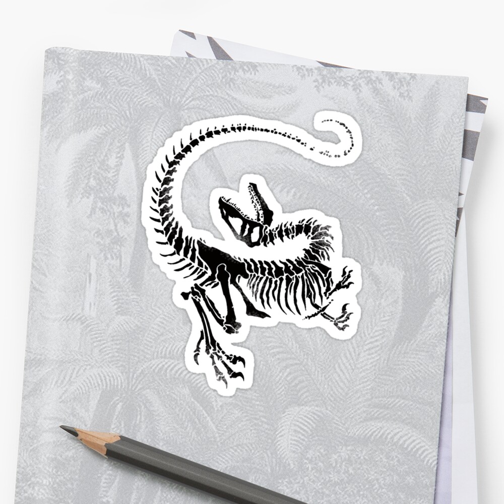 velociraptor skeleton drawing