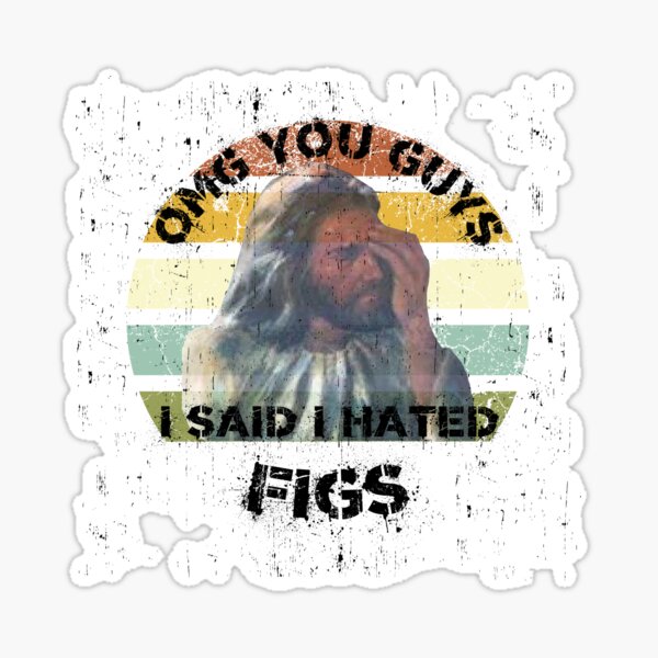 "OMG You Guys I Said I Hated Figs LGBT Jesus Meme Cut Retro Sunset With