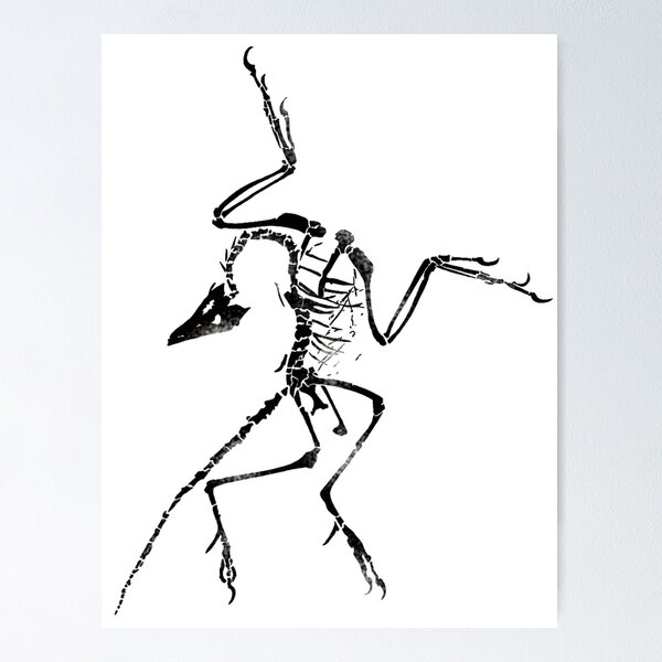 Artikel-Vorschau von Archaeopteryx-Skelett-Druck, designt und verkauft von JJJericho.