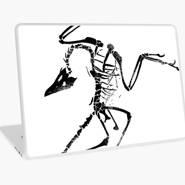 Archaeopteryx Skeleton Print Laptop Skin