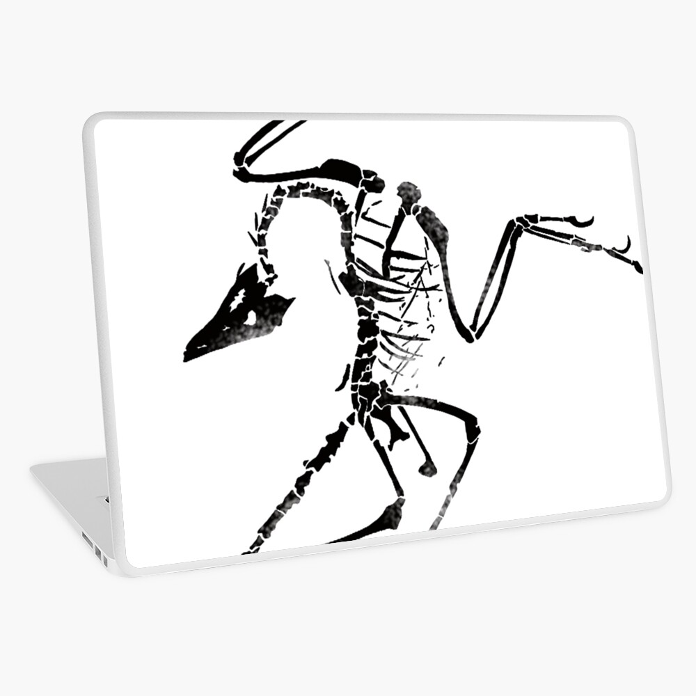 archaeopteryx skeleton