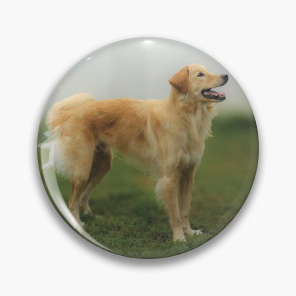 Artikelvorschau, Wunderschöner Golden Retriever entworfen und verkauft von PandLcreations.