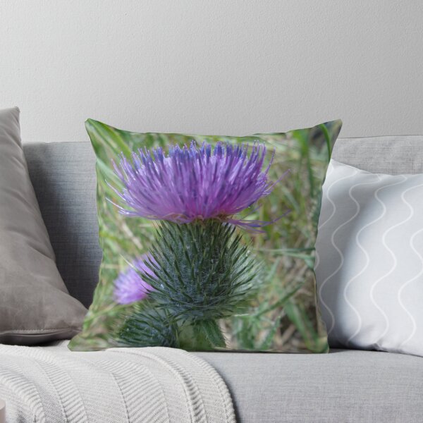Item preview, Thistle designed and sold by KristinaL.