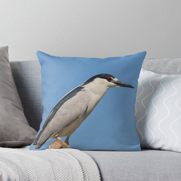 Item preview, Black-crowned Night Heron 2014-1 designed and sold by Thomasyoung.
