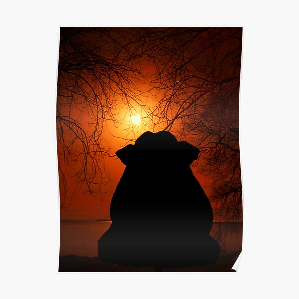 "NCIS elephant in the moonlight ORIGINAL SUNSET BLAZE" Poster for Sale
