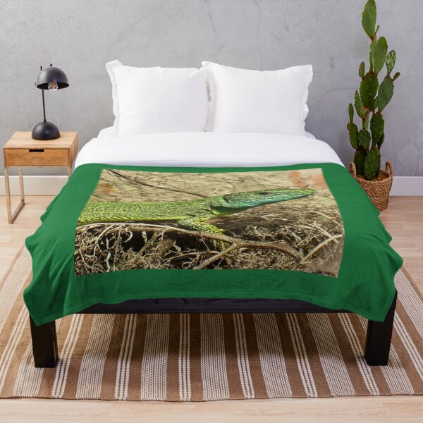 Item preview, The green lizard is warmed by the sun designed and sold by Mackica90.