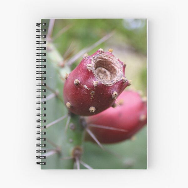 Item preview, Prickly Pear Fruits. designed and sold by VgBingi.