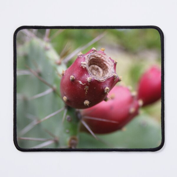 Item preview, Prickly Pear Fruits. designed and sold by VgBingi.