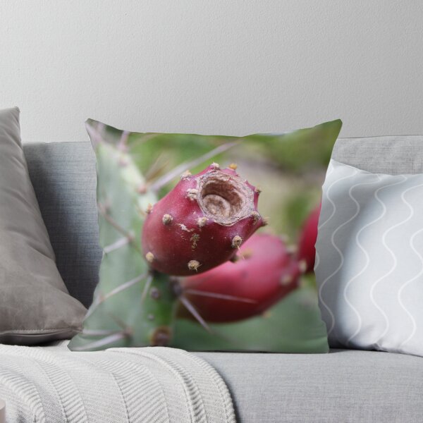 Item preview, Prickly Pear Fruits. designed and sold by VgBingi.