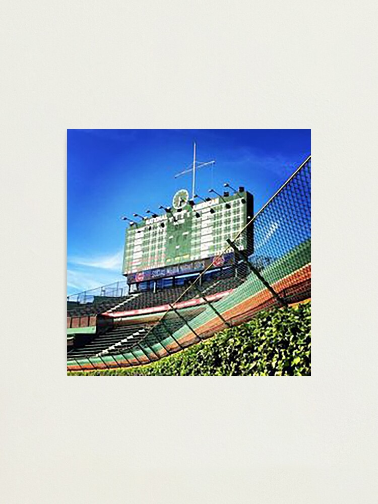 Wrigley Field Ivy Photo - Chicago Cubs, ivy, 400, wall art print, Chicago  urban photography, abstract