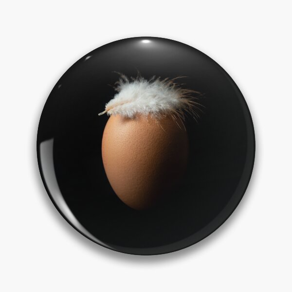 Item preview, Brown egg with a white chicken feather on it, isolated over black background designed and sold by PhotoPrise.