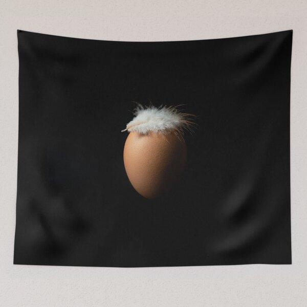 Item preview, Brown egg with a white chicken feather on it, isolated over black background designed and sold by PhotoPrise.