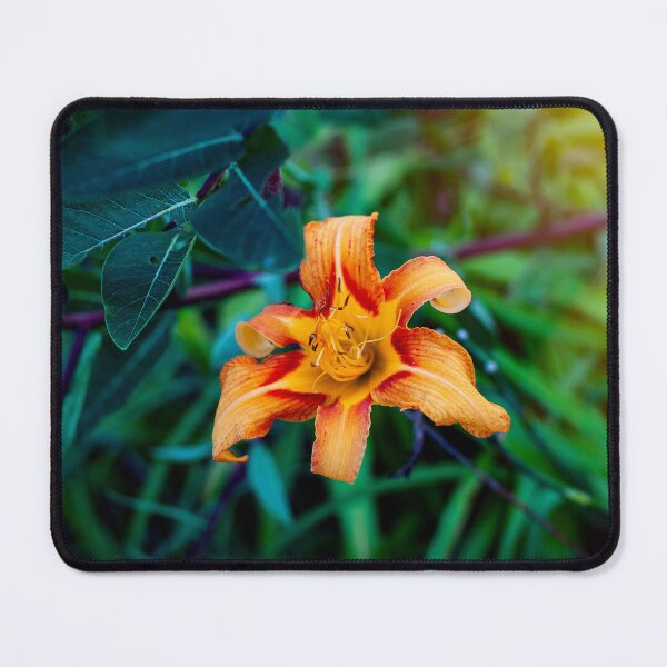 Item preview, Hope is a flower. designed and sold by Khervey.