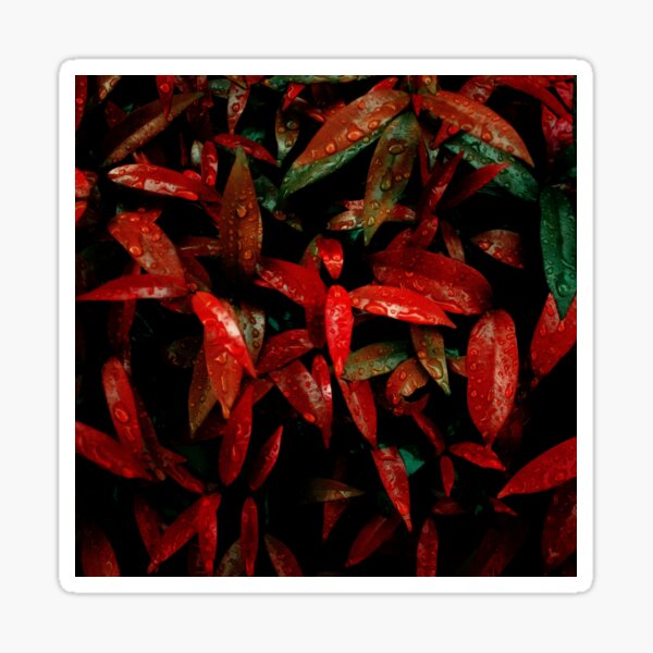 Item preview, Lovely flowers Lovely Leaves designed and sold by CoolArtByMboya.