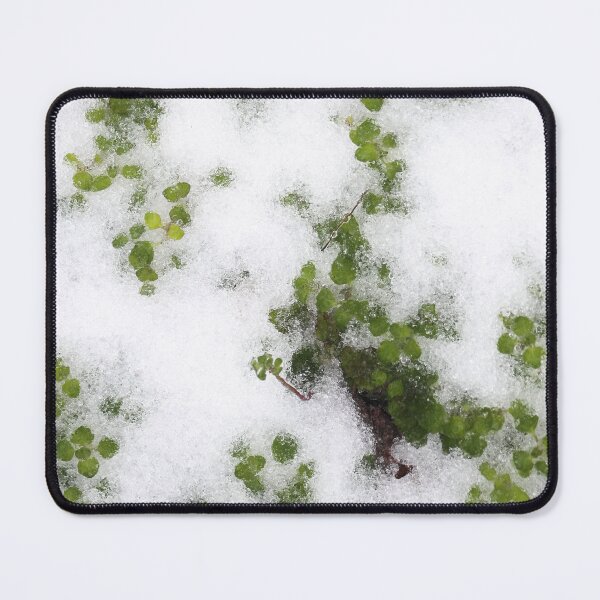 Item preview, Clover in the Snow designed and sold by robertgasperson.