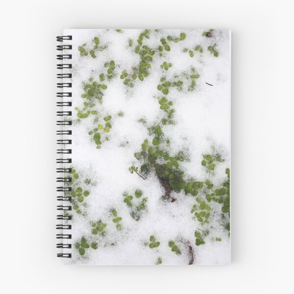 Item preview, Clover in the Snow designed and sold by robertgasperson.