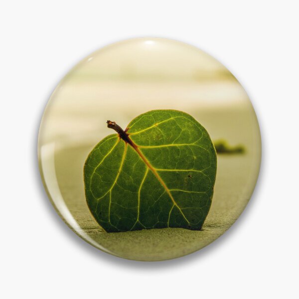 Artikelvorschau, Big green leaf at a beach entworfen und verkauft von MaltesShop.