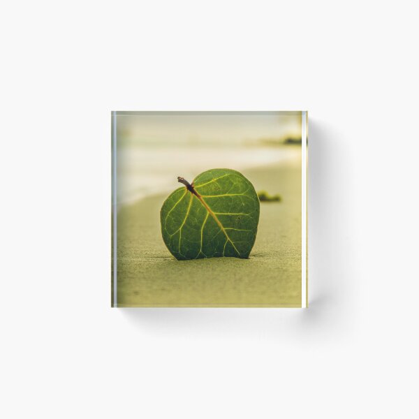 Item preview,  Big green leaf on a beach designed and sold by MaltesShop.