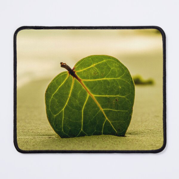 Item preview, Big green leaf on a beach designed and sold by MaltesShop.