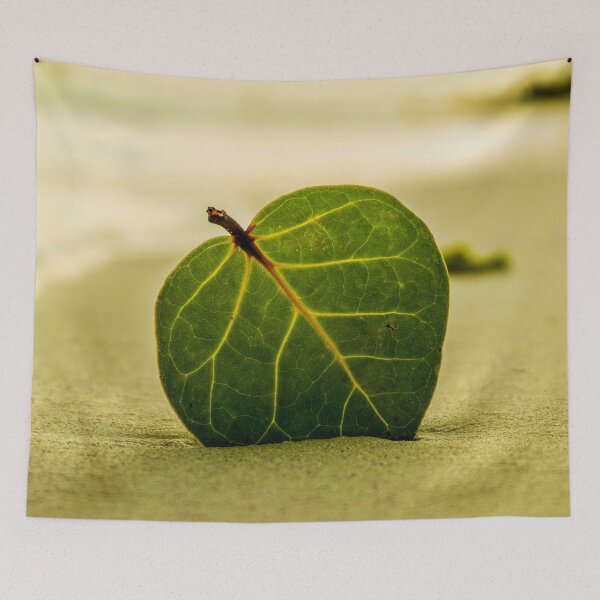 Item preview,  Big green leaf on a beach designed and sold by MaltesShop.