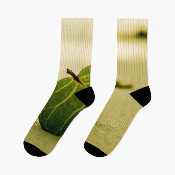 Item preview,  Big green leaf on a beach designed and sold by MaltesShop.