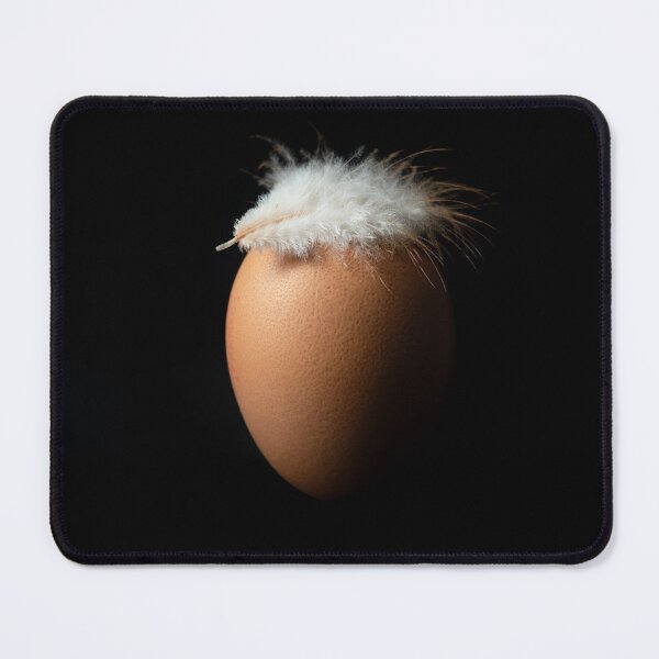 Item preview, Brown egg with a white chicken feather on it, isolated over black background designed and sold by PhotoPrise.