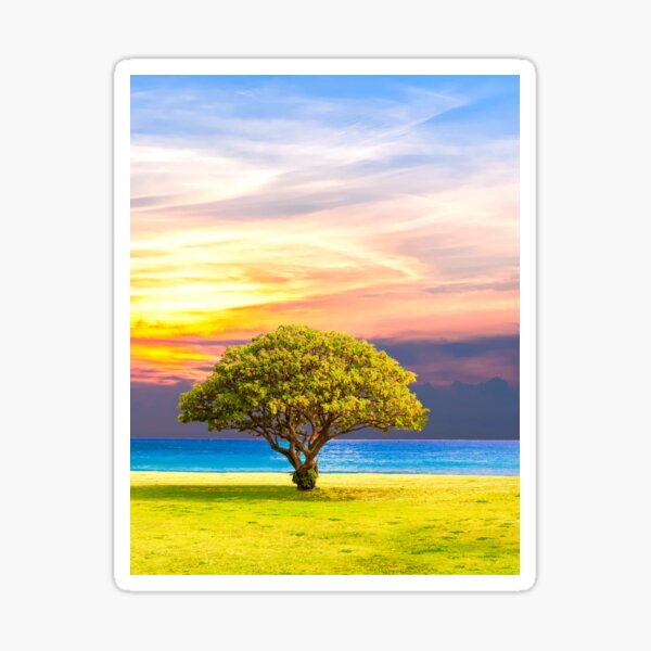 Item preview, Tree at a beach in front of a cloudy background designed and sold by MaltesShop.