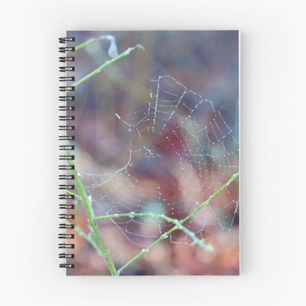 Item preview, Dewey Spider Web designed and sold by Emmaline Jones.