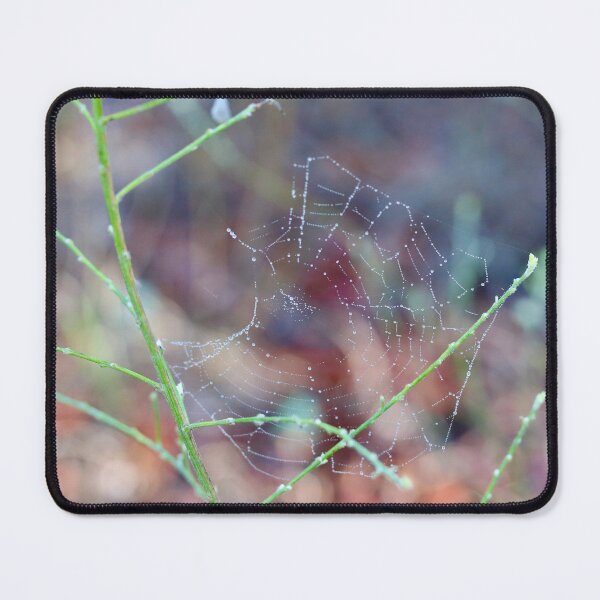 Item preview, Dewey Spider Web designed and sold by Emmaline Jones.