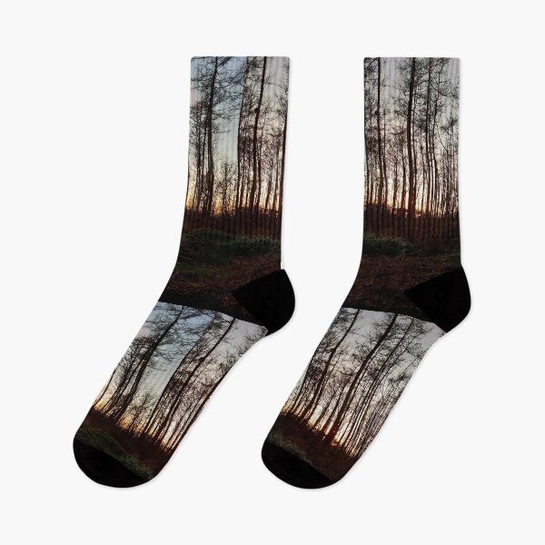 Item preview, British English countryside forest at sunset designed and sold by LukjanovArt.
