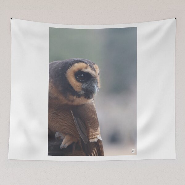 Item preview, Asian Brown Wood Owl designed and sold by MADowdPhotos.