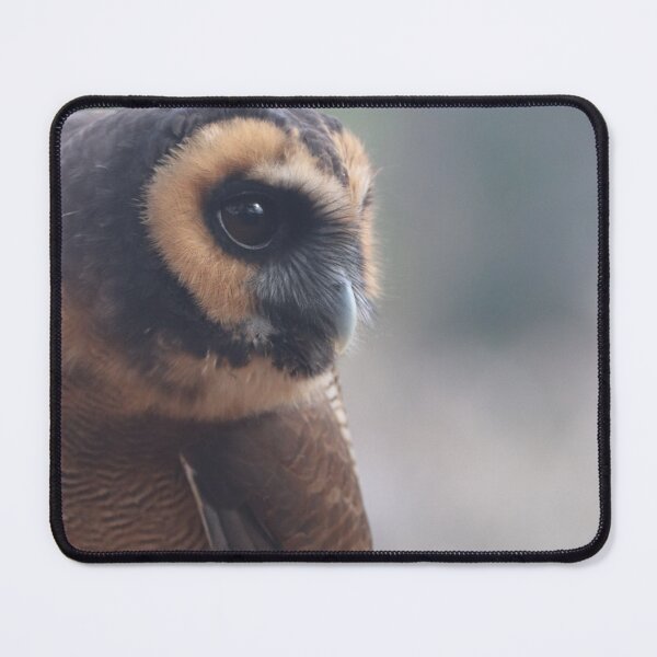 Item preview, Asian Brown Wood Owl designed and sold by MADowdPhotos.