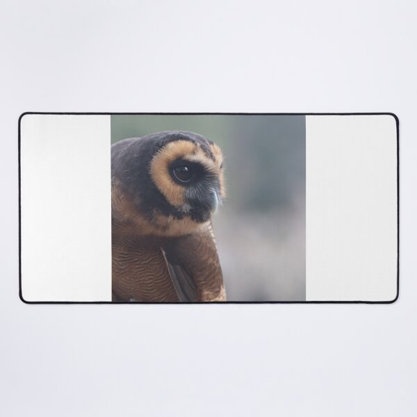 Item preview, Asian Brown Wood Owl designed and sold by MADowdPhotos.