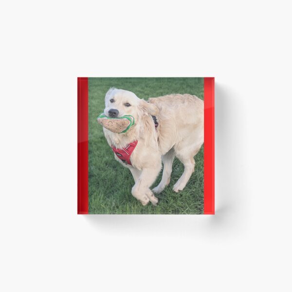 Artikelvorschau, Golden Retriever Welpe entworfen und verkauft von Fluffycat2020.